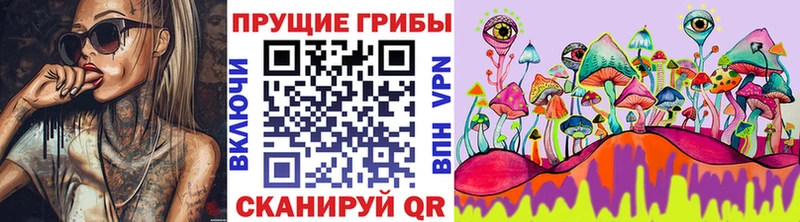 KRAKEN ТОР Лодейное Поле Галлюциногенные грибы мухоморы